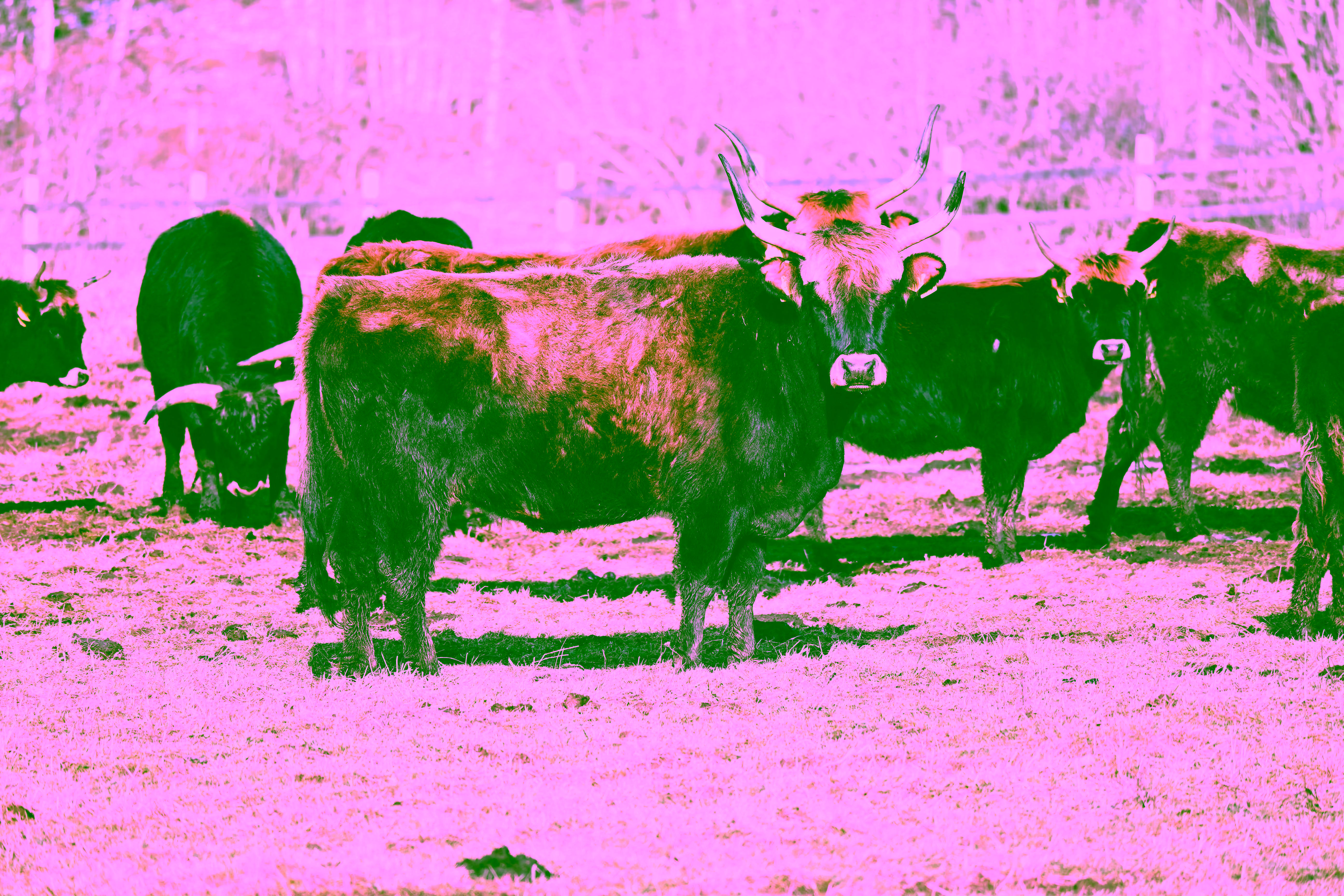 Status update - May Week 4