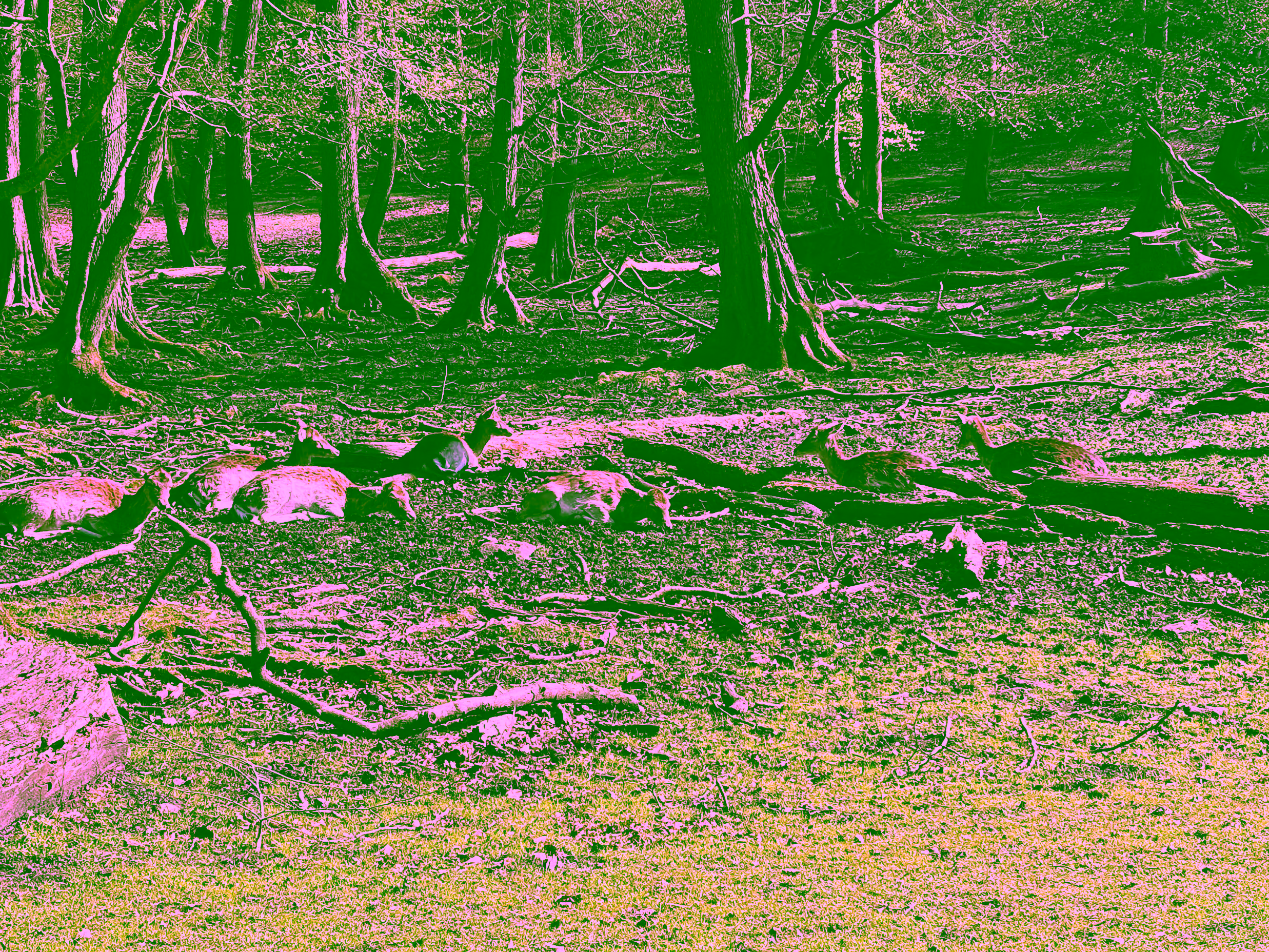 Status update - April Week 5